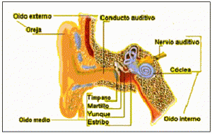 discapacidad.auditiva