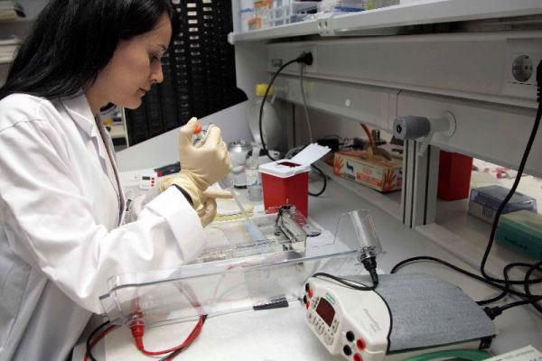 Células madre investigación esperanza y controversias