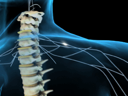 Lesión medular guía de cuidados