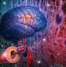 Enfermedad cerebrovascular factores de riesgo tratamiento y rehabilitación