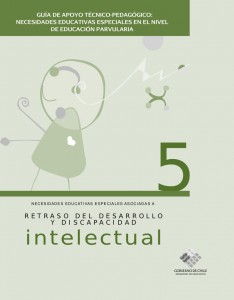 Retraso del desarrollo y discapacidad Intelectual guía pedagogica preescolar