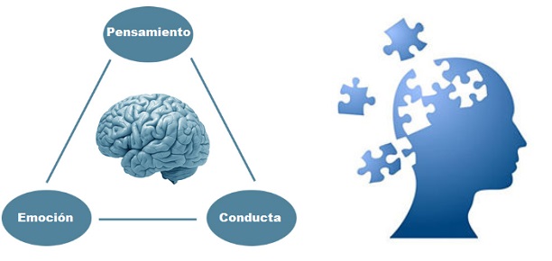 ▷ Terapia cognitivo conductual para trastornos de ansiedad y psicóticos ◁